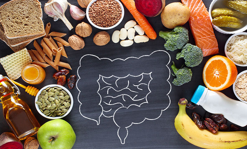 Revolutionizing Health: A Gut-Centric Approach