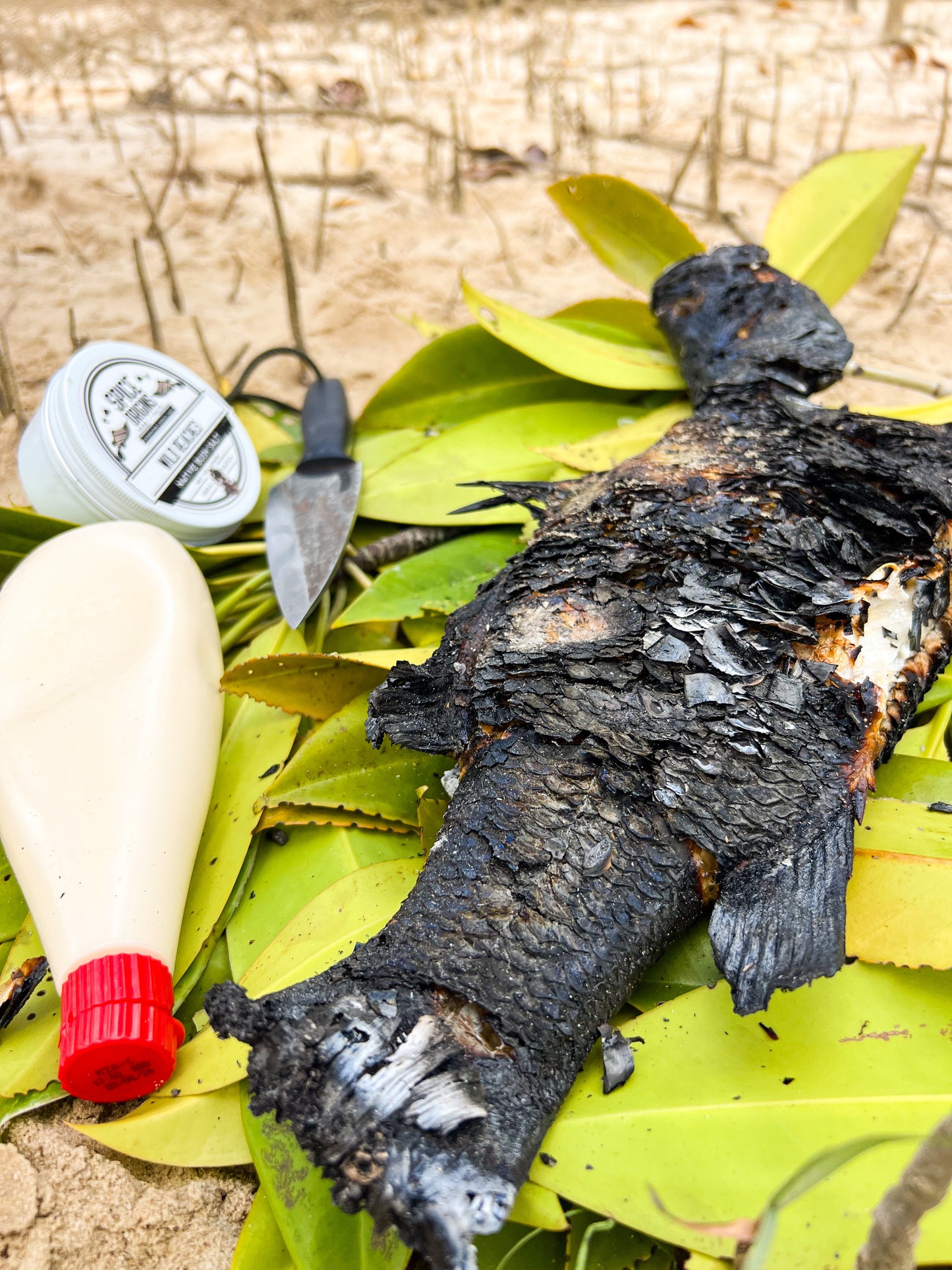 Wild Reaches Native Bush Salt with Lemon Myrtle